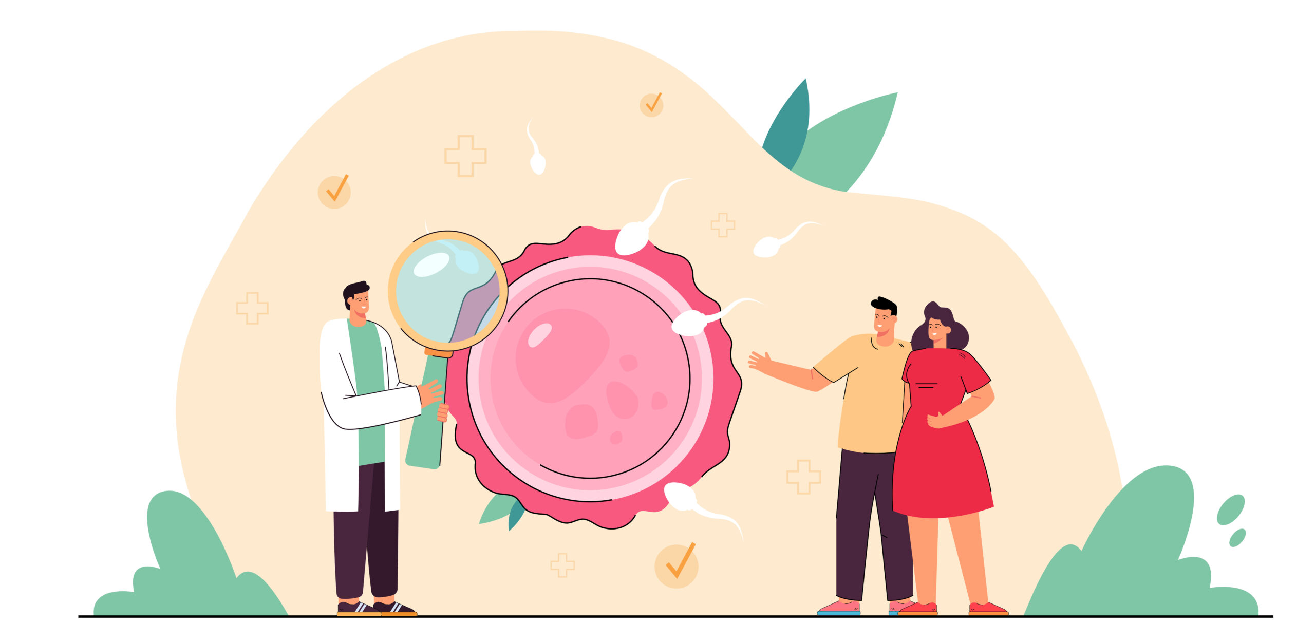 Exploring the Options: A Comprehensive Guide to Fertility Treatments